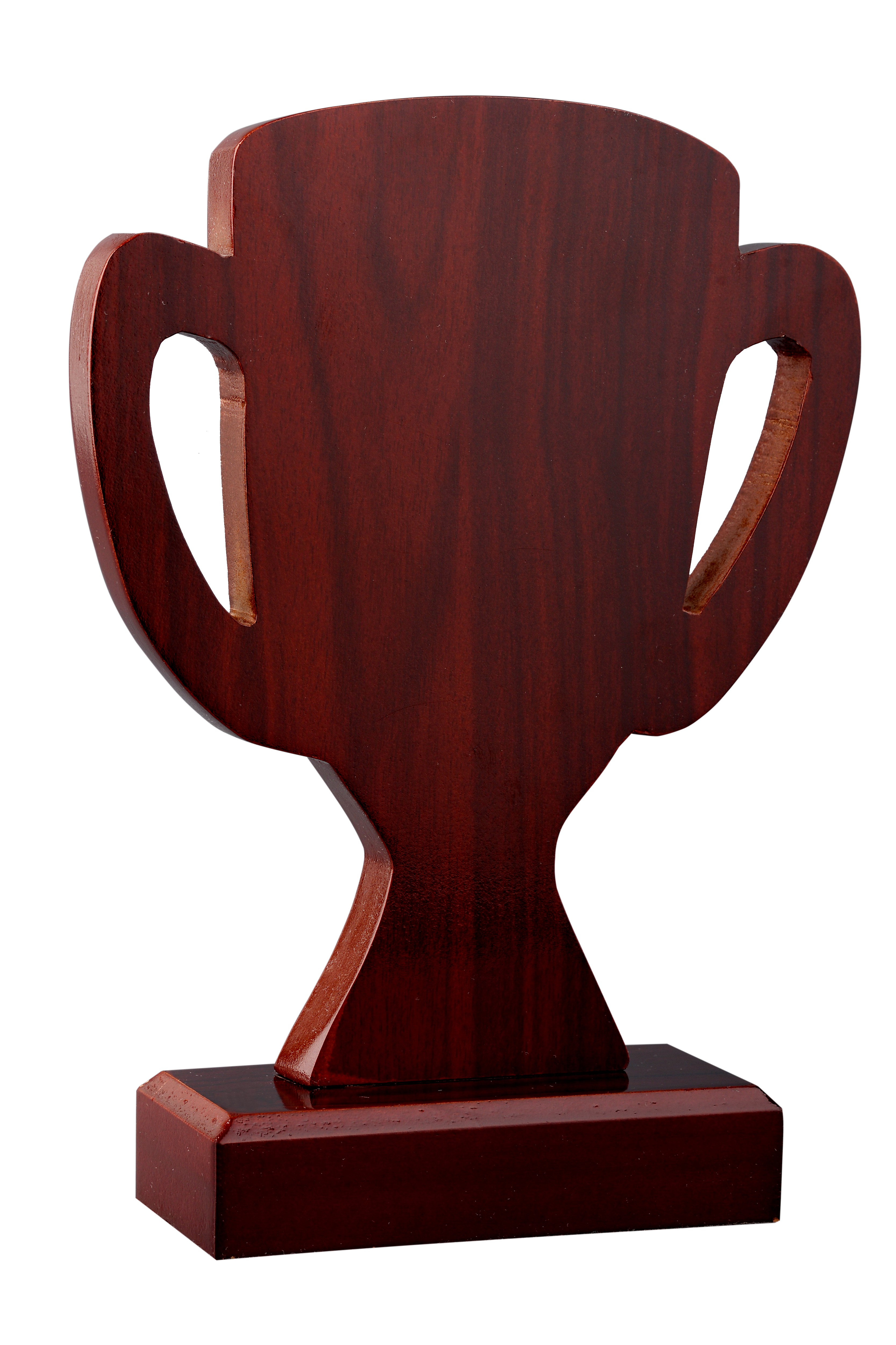 Trofee din lemn WT 110